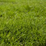 Werkkleding voor de bouwsector